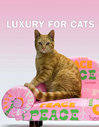 "Luxury For Cats":  ������� ��������� �� �������!