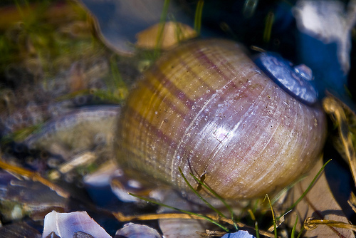 ������ � ���������: � ������, � ���� ������