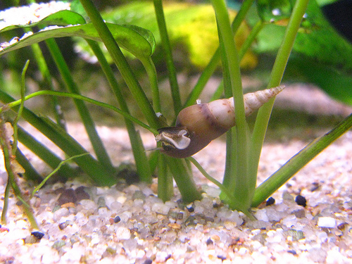 ������ � ���������: � ������, � ���� ������