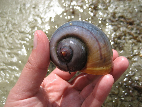 ������ � ���������: � ������, � ���� ������