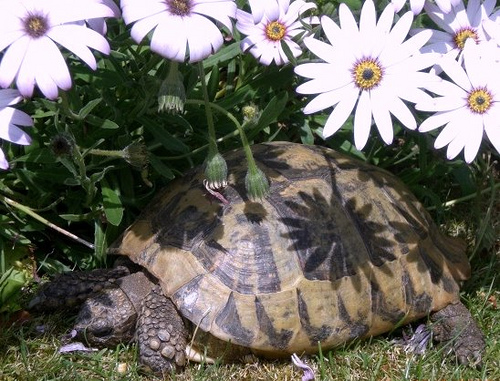 ������� � �������?