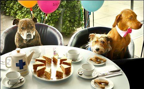 ��� ��������� � ������� � ���-�����?