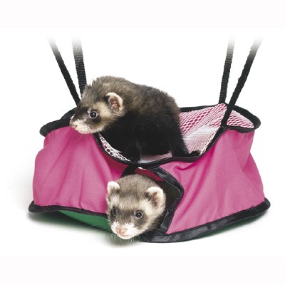 ������ ����� ���!