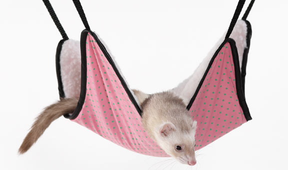 ������ ����� ���!