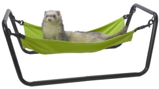 ������ ����� ���!