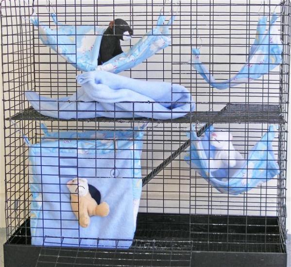 ������ ����� ���!