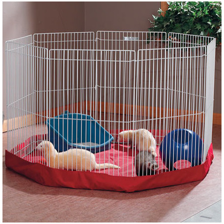 ����� ��� ������