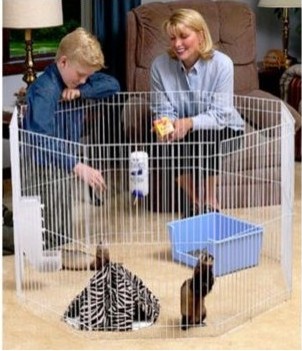 ����� ��� ������