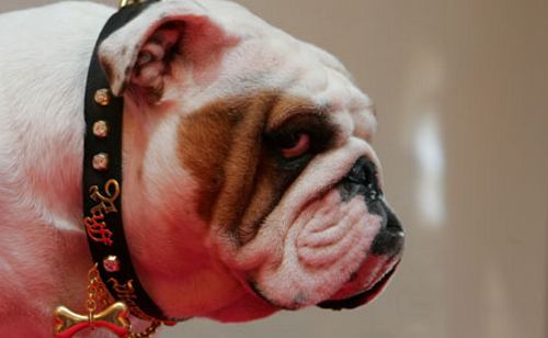 ����� ������� ������� ��� �����