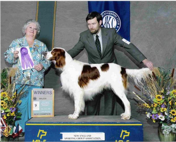 ��� ����� ������ ������������ �� ������������ �������� ���