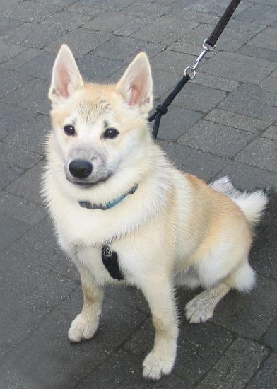 ��� ����� ������ ������������ �� ������������ �������� ���