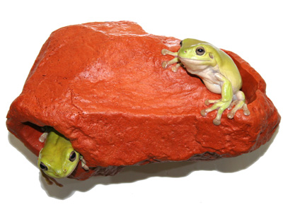 ���� � ������ � ���������