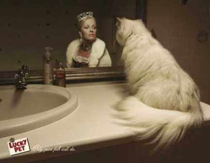 ���� � ���� �������!