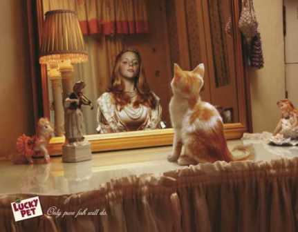 ���� � ���� �������!