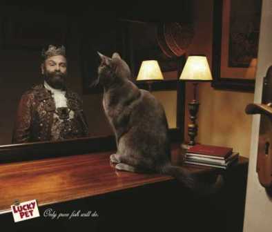 ���� � ���� �������!