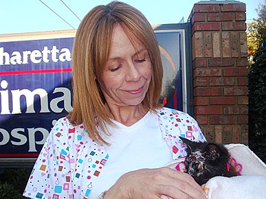 �������� Sweetie Pie ������ ����� ���