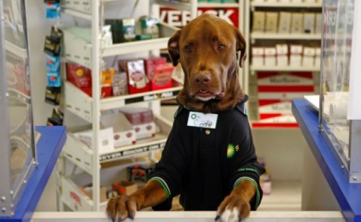 ������� ������