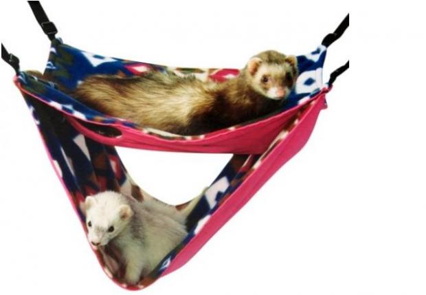 ������ ����� ���!