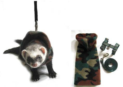 ������ - �������������