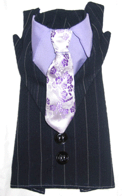 �����-���  ��� �������