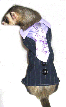 �����-���  ��� �������