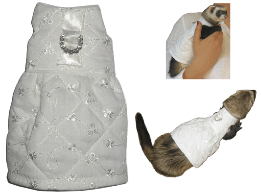 �����-���  ��� �������