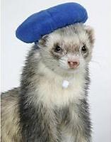 �����-���  ��� �������