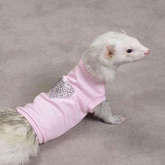 �����-���  ��� �������