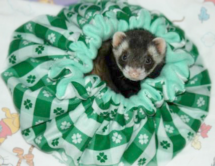 �������� ��� ��� ������