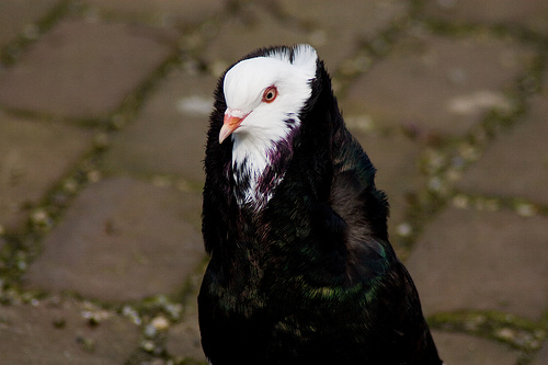 �������� ������