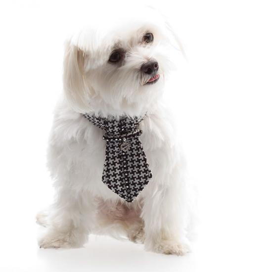 ��� ������������� �������