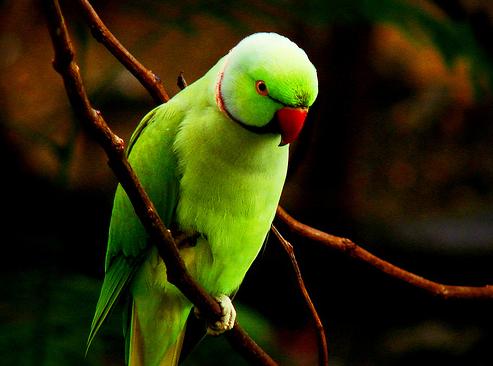 ������� � ���� ������