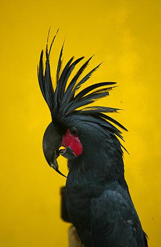 ������� � ���� ������