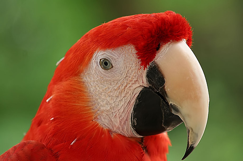 ������� � ���� ������