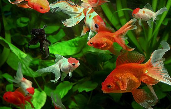 �� ���� ������ ��� ��� �����