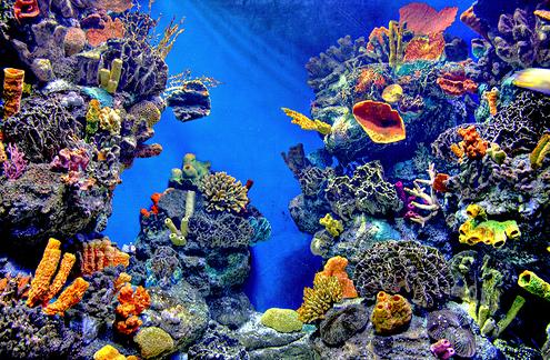 �� ���� ������ ��� ��� �����