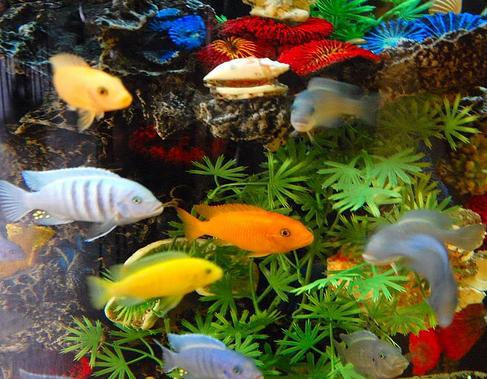 �� ���� ������ ��� ��� �����