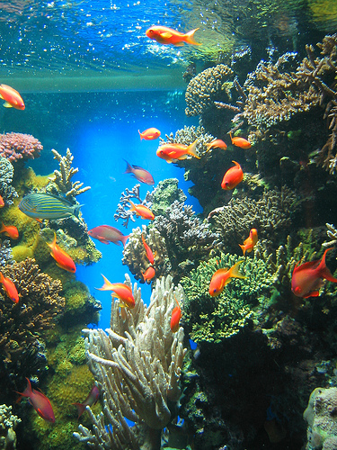 �� ���� ������ ��� ��� �����