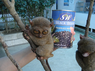 ������������ �����