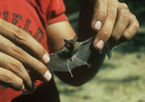 ����� ��������� �������������