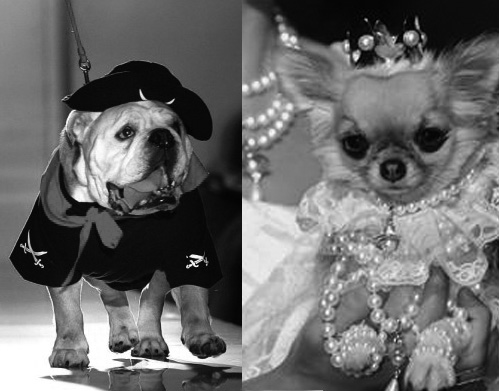 ������� ���� ��� ����� �Pet a porter�