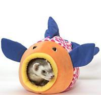 Лучшие игрушки для хорьков Лучшие игрушки для хорьков