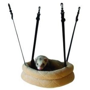 Лучшие игрушки для хорьков Лучшие игрушки для хорьков