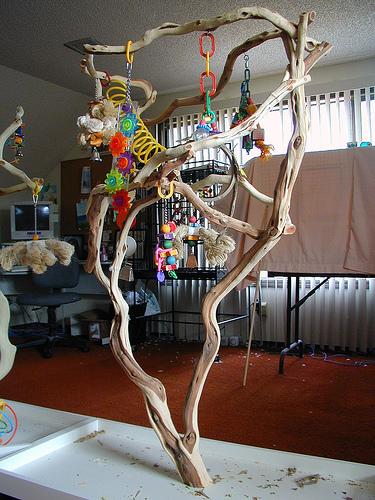 ������� �������� ��� �������