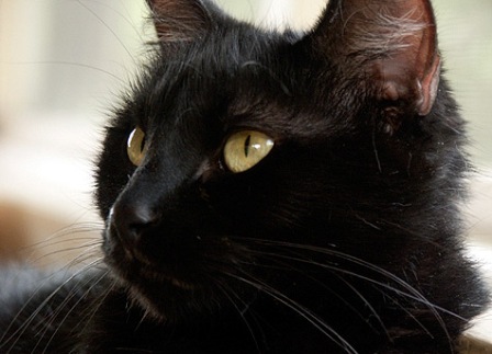 ������ ����� ������� ��� ����������?