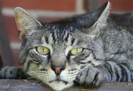 ��� ������ �� ����������?