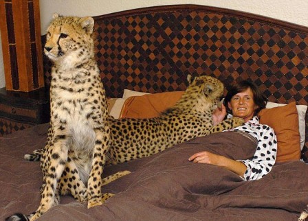 �����, ���� � ������ ������� ����� ��� ����������