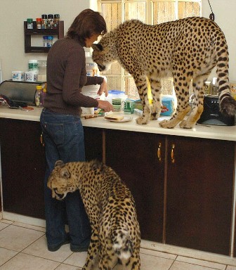 �����, ���� � ������ ������� ����� ��� ����������