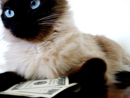 � �� �� ��� ������ ���� �����?