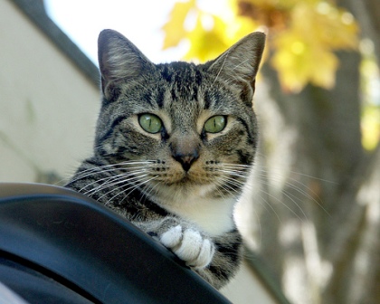 � �� �� ��� ������ ���� �����?